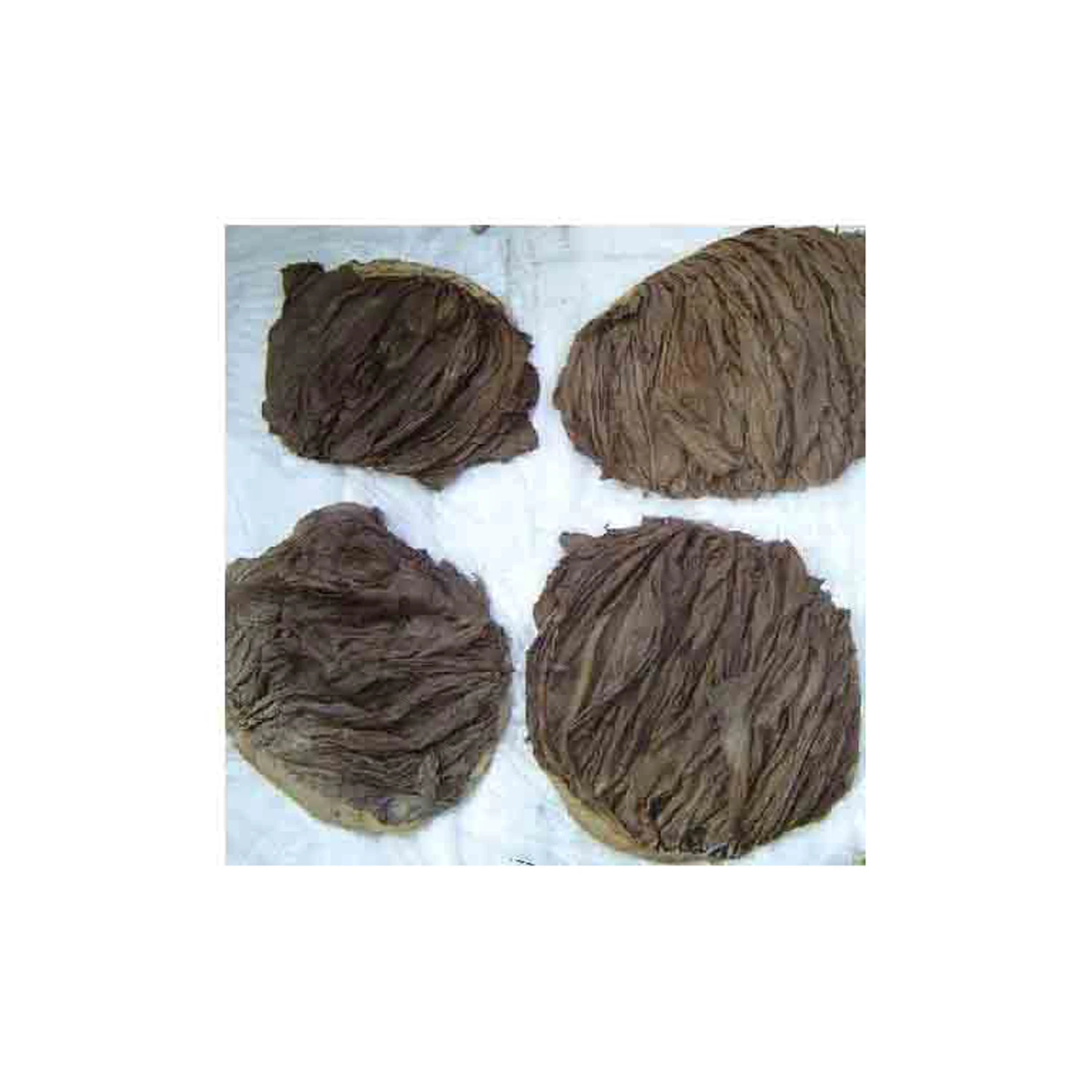 Salted & dried frozen & fresh omasum / beef meat omasum , High Quality Omasum / Omasum Suppliers from France