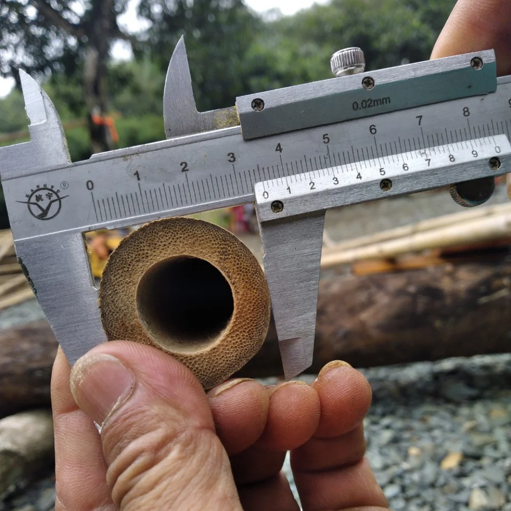 Dry Bamboo Poles Big Size Solid Moso Bamboo For Decor And Construction Bamboo Cane Packed In Bundles with Top Service