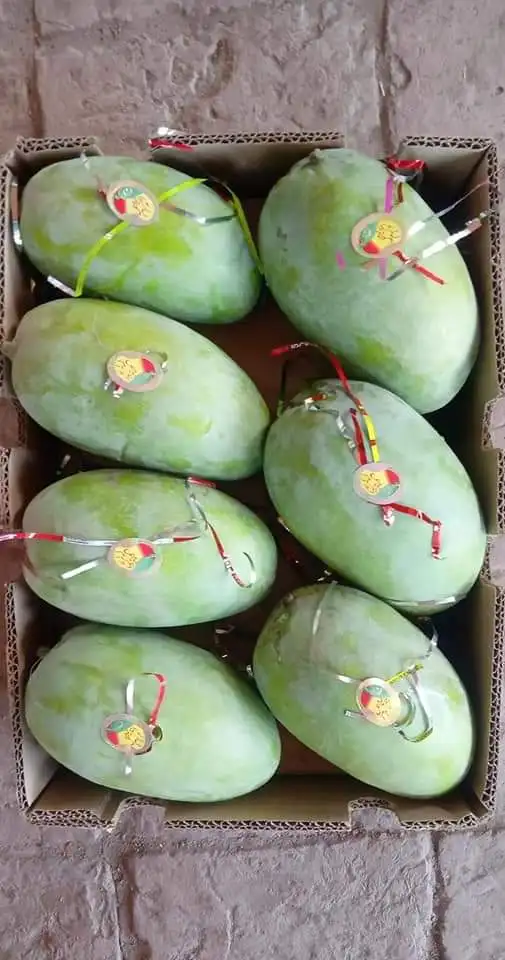 Свежие манго из