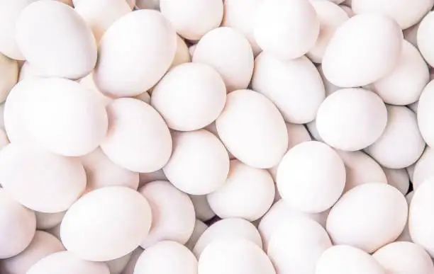 Свежие яйца