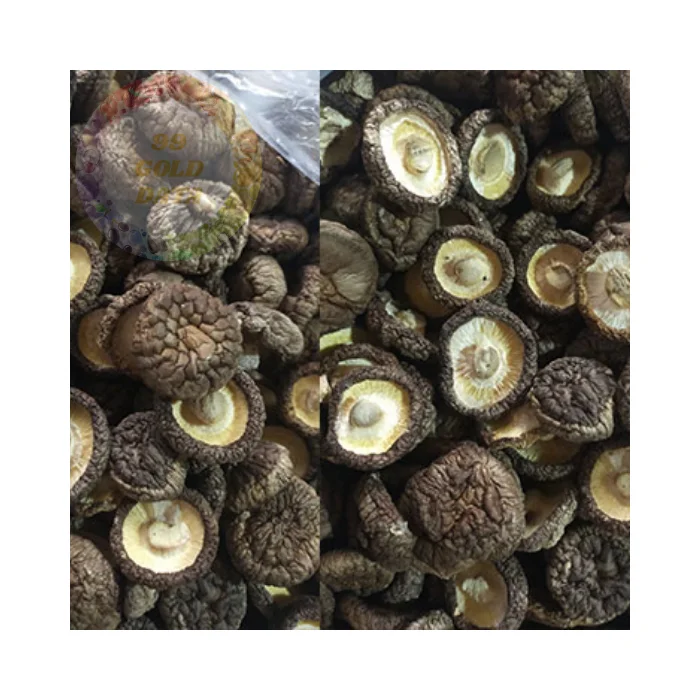 Bulk Dried Mushrooms at Competitive Prices - High-Quality, Natural Product from Vietnam