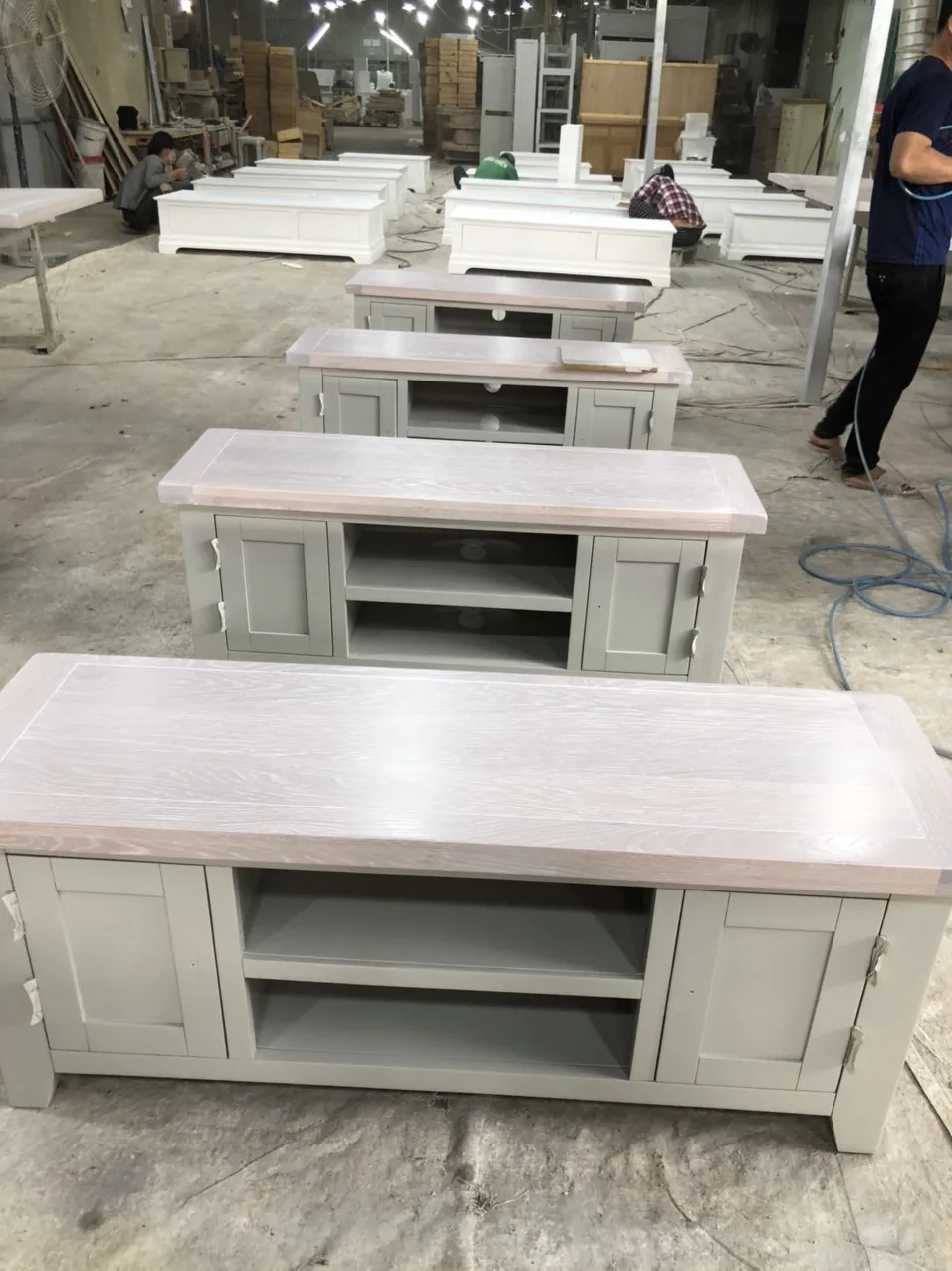 Физиоактивные элементы