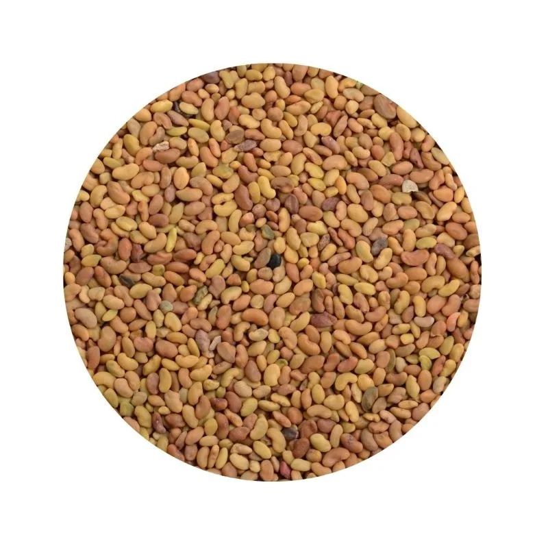 Organic Alfalfa Seeds for Sprouting Non GMO Sproutable - by Food To Live