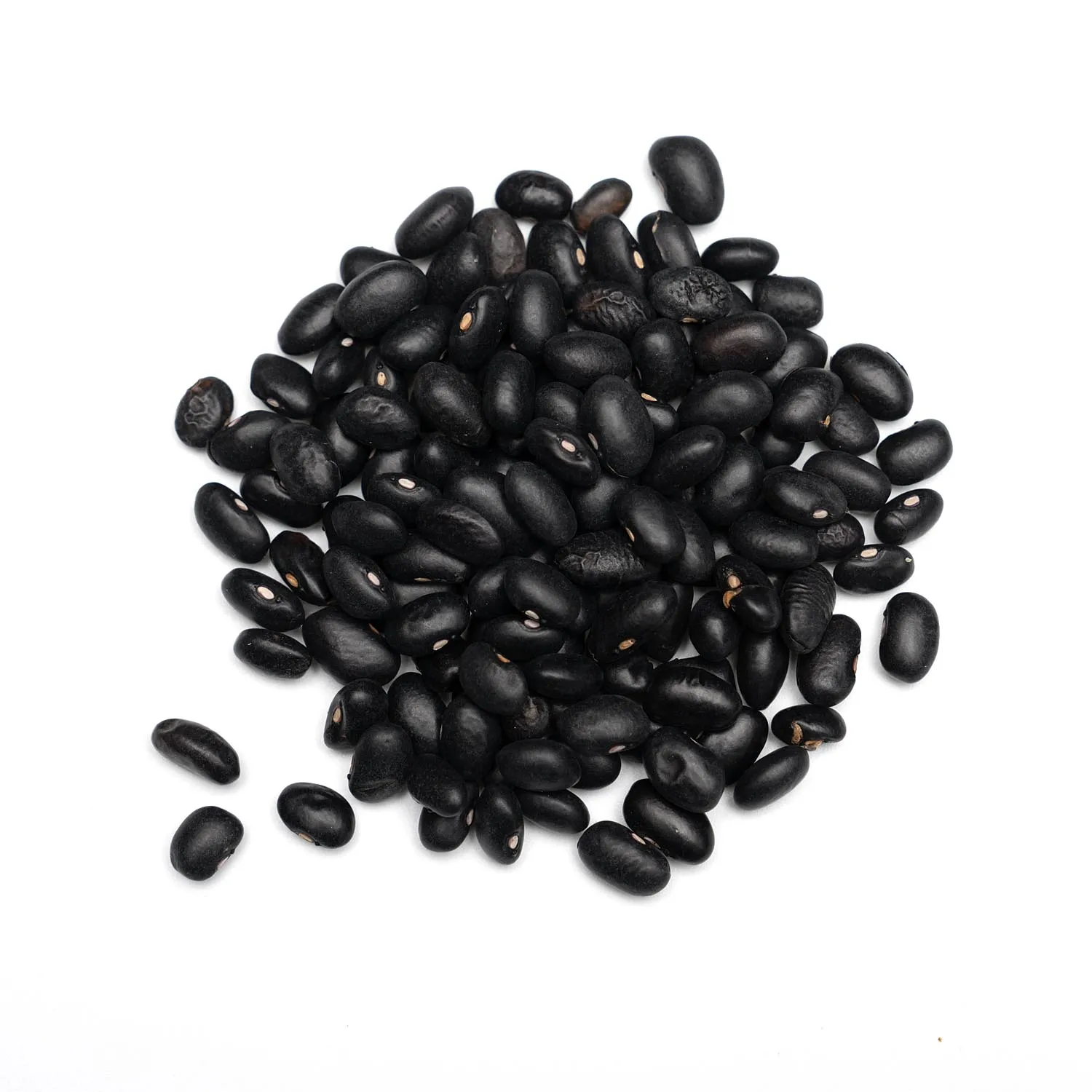 Export High Quality Organic Beans with Factory Price Organic Natural Black Beans for Sale Best Quality Nutrient Rich Black Beans