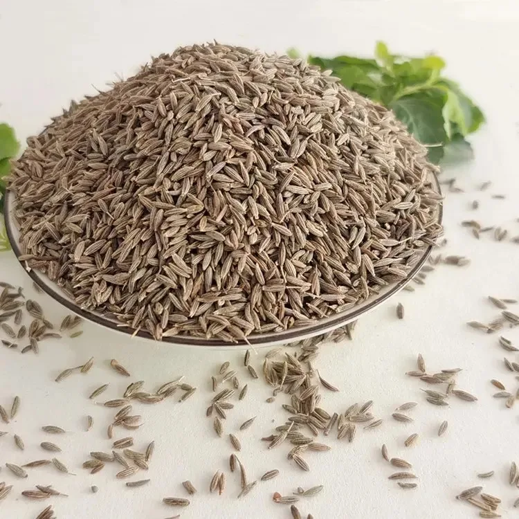 Wholesale Price Cumin Seeds Single Spices A Grade Cumin Seeds for Sale |  Cumin Seeds Exporters