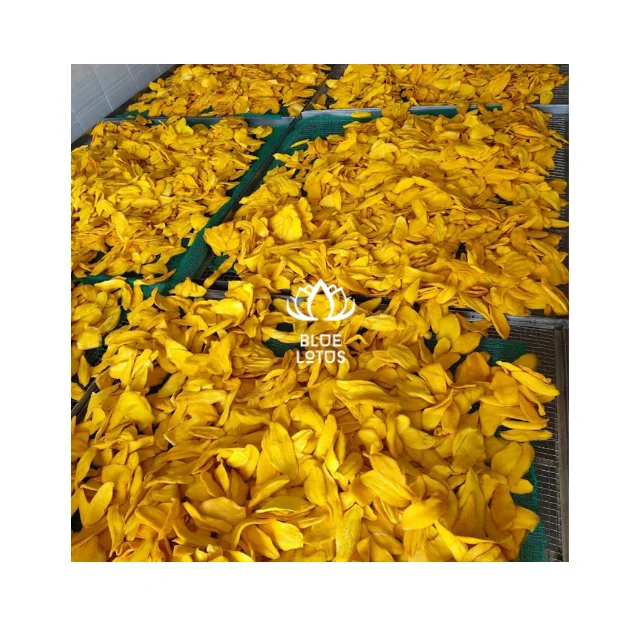 LOW PRICE WHOLE SALE DRIED MANGO SOFT From Vietnam Good for Body Exporting Delicious Sweet Bulk Style 2024