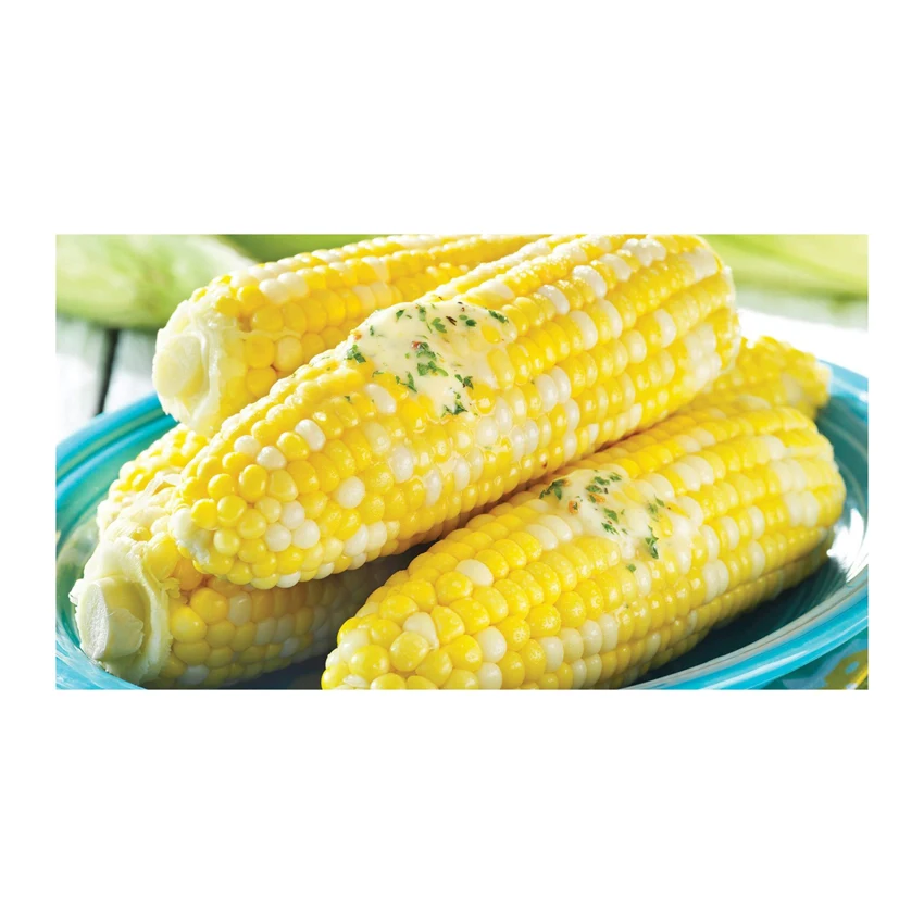 Buy High Quality Yellow Corn Maize Grains