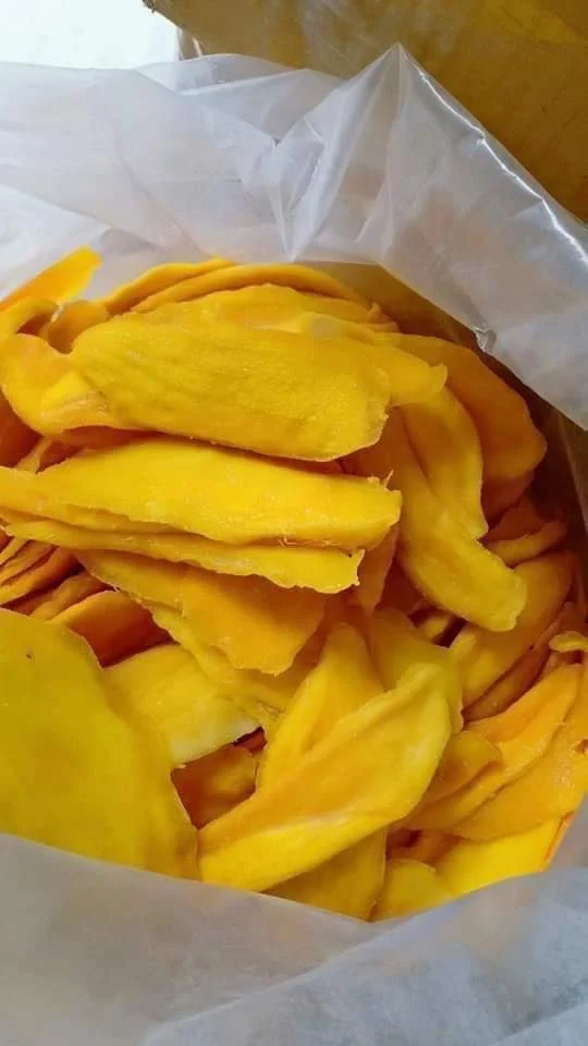 LOW PRICE WHOLE SALE DRIED MANGO SOFT From Vietnam Good for Body Exporting Delicious Sweet Bulk Style 2024