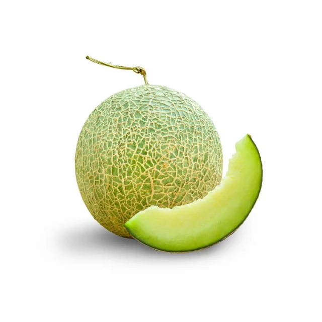 New Crop Fresh Cantaloupe Melon for Sale From Vietnam