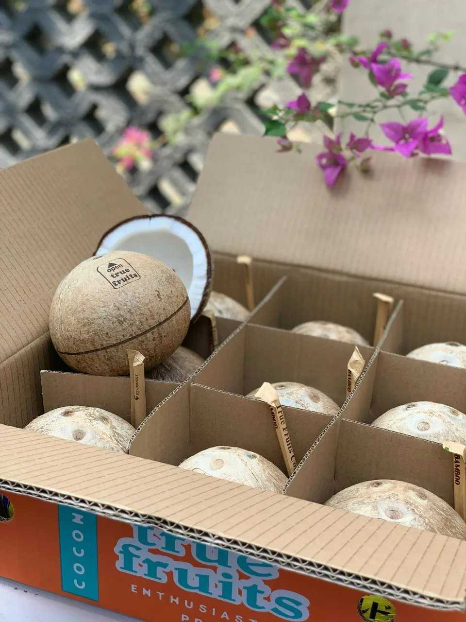 True Fruits_Coconut: Natural Brown Mature Coconuts with Straw for drinking then cooking, Vietnam for export +84989962103