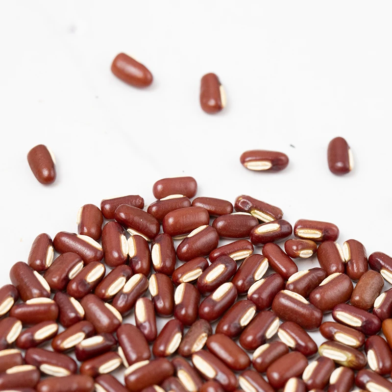 Dried and Raw Dark Red Kidney Sugar Bean for sale Thai Suppliers