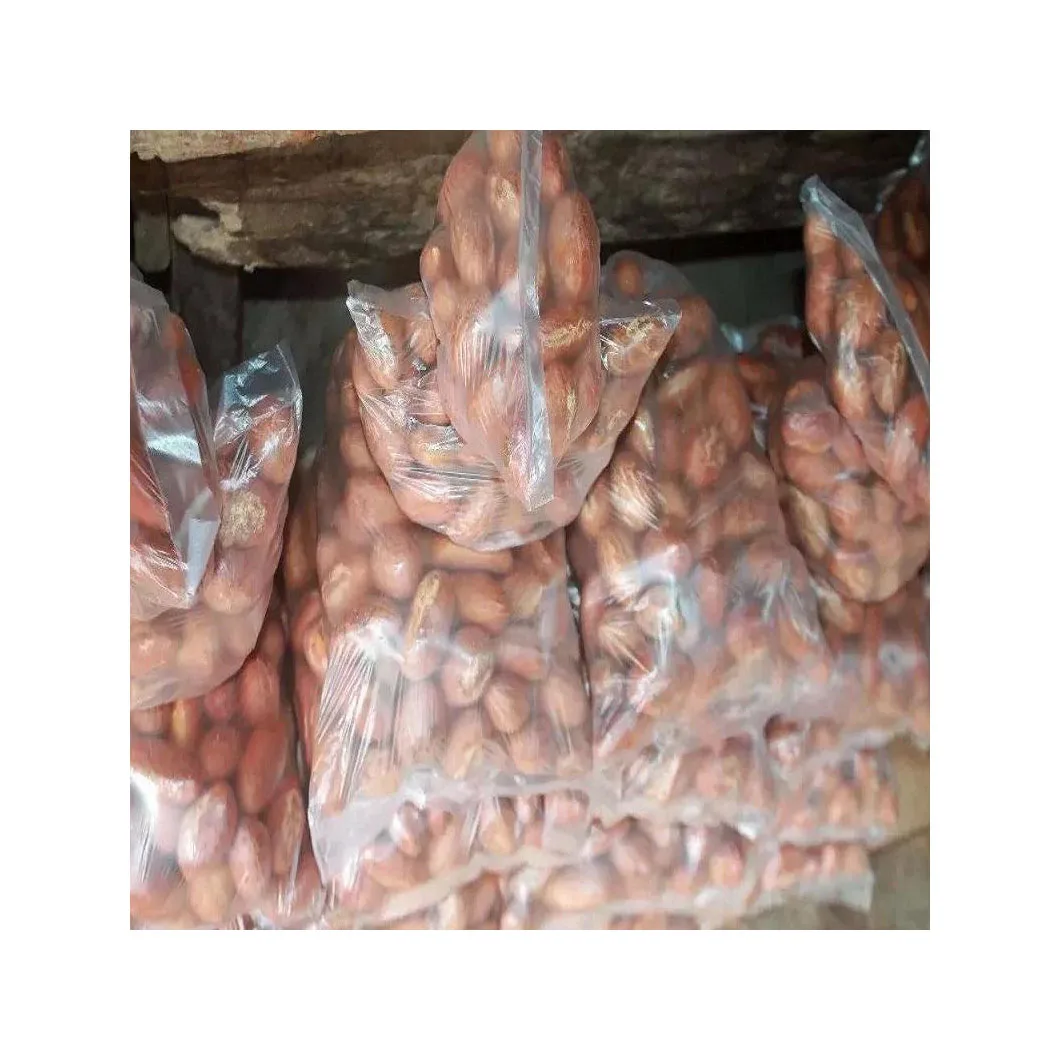 High Quality Bitter Kola Garcinia Kola