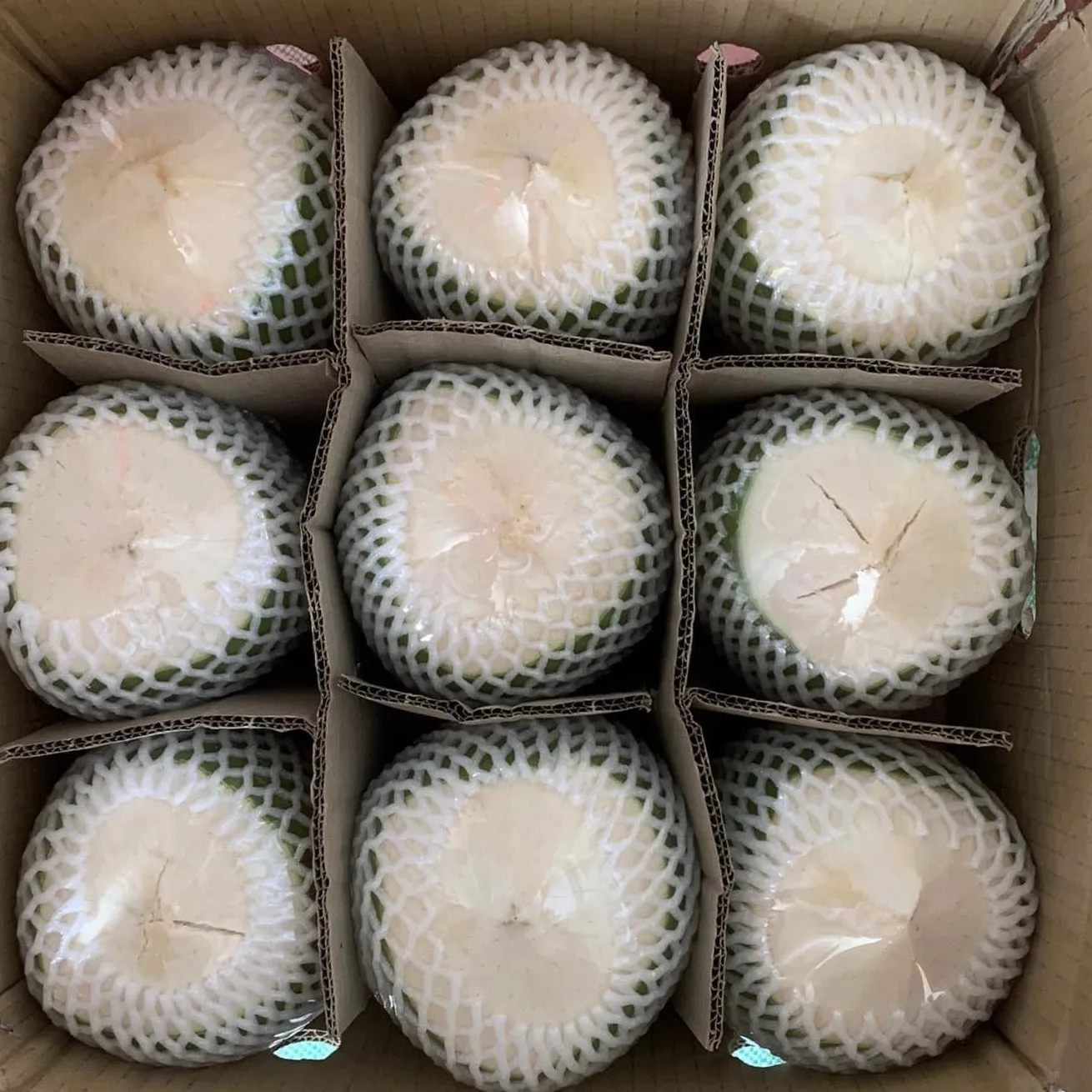 Wholesale Premium Quality Cheap Price FRESH YOUNG DIAMOND COCONUT  From Viet Nam