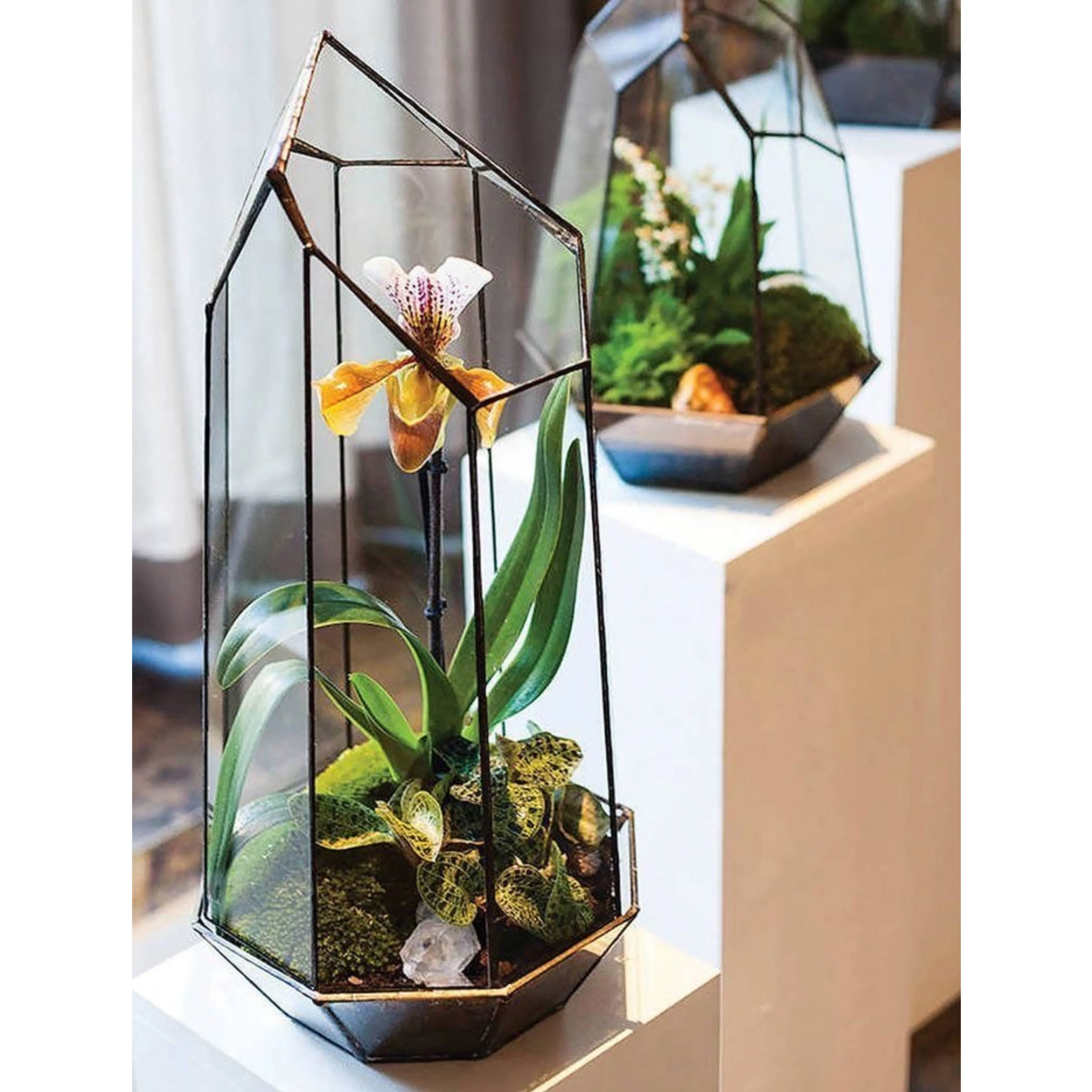 Wholesale Decorative Glass Metal Framed Plant Terrariums in Different Customized Shapes, Sizes for Home and Garden Decoration