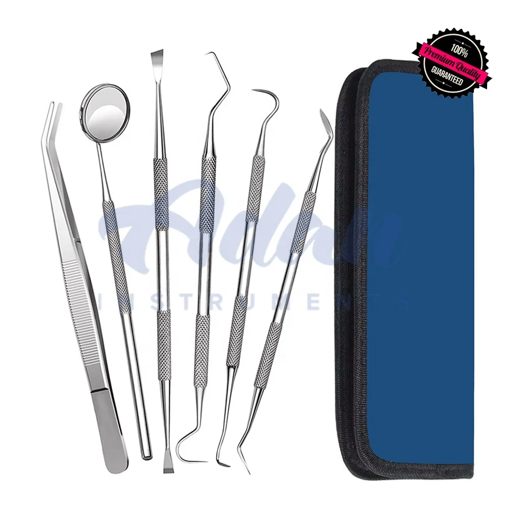 Wholesale Factory Prices 6 Pieces Dental Examination Kit of Dental Mirrors, Scalers, Forceps, scrapers in Carry Case