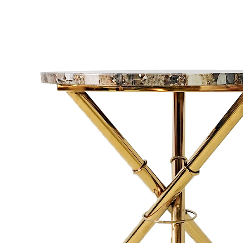 Natural Gemstone End Table Brown Fossil Wood Round Table TopsPetrified Wood Furniture