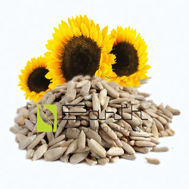 India Wholesale Non GMO High Quality Good Price Sunflower Kernels Seeds