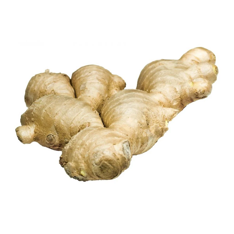 Good Quality fresh ginger Available for sale