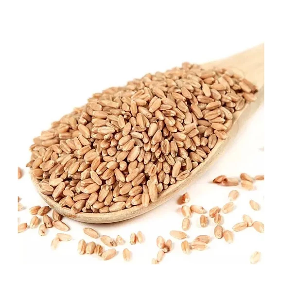 High Quality Wheat For Milling And Human And Animal Wholesale Supplier Organic Whole Wheat Grain For Sale In Reasonable Price