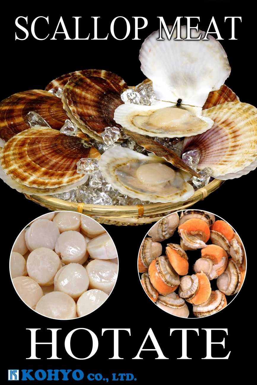 High End Scallop Meat/Hotate Kids Good Healthy Japanese Food