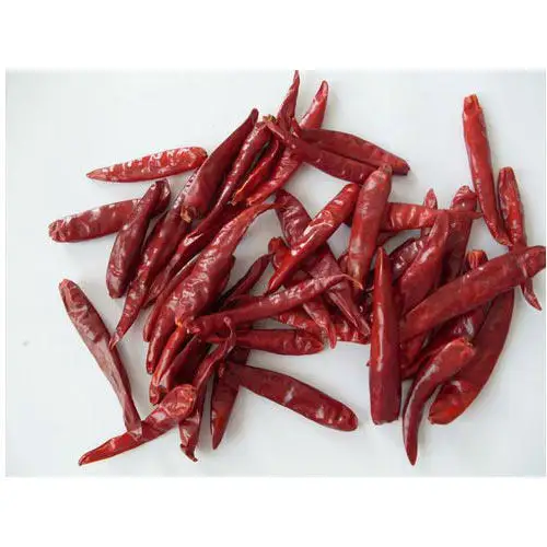HIGH QUALITY AND BEST SUPPLIER DRIED RED VIETNAM CHILI //FROM VIETNAM NEW CROPS 2022 // MS. JENNIE (whatsapp+84 358485581)