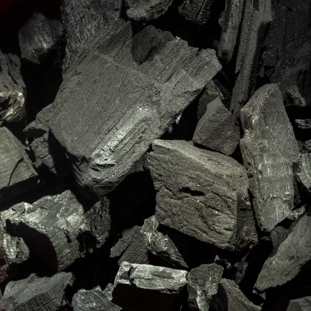 Natural Hardwood Barbecue Charcoal