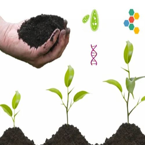 Organic Fertilizer NPK 6-6-6 Manufacturer KOTINOCHI Made in Vietnam