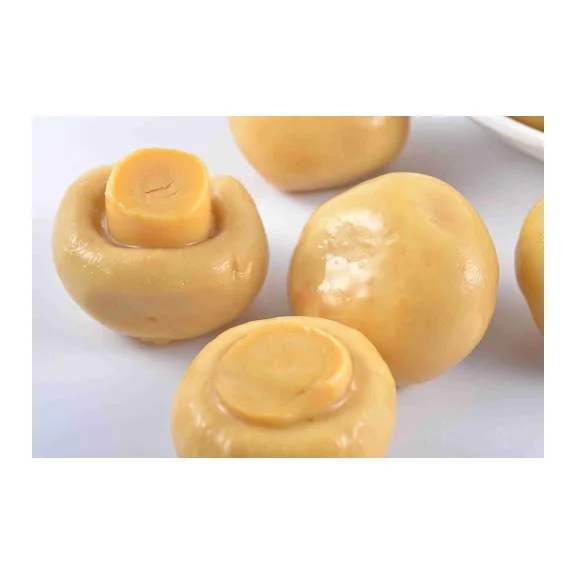 Консервированные грибы/ломтики консервированных грибов/цена