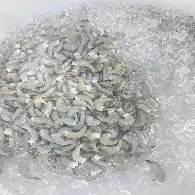 live shrimp for sale