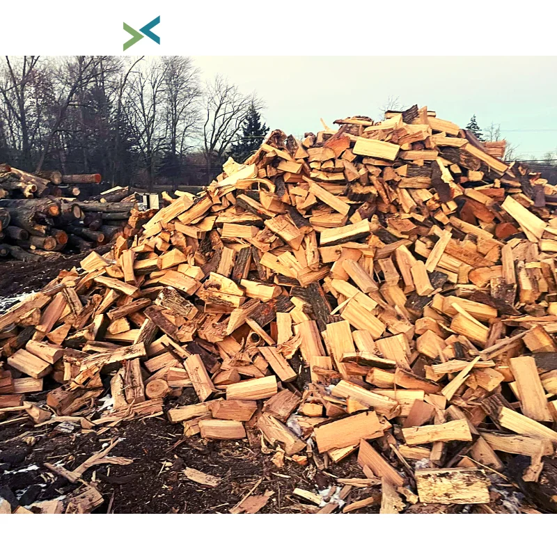 Оптовая продажа сушеных дубовых дров из твердой