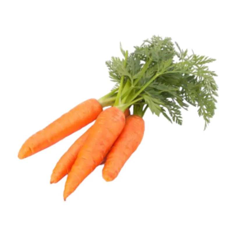 Wholesales fresh carrot various sizes S M L 2L to choose - Reliable Vietnamese Supplier