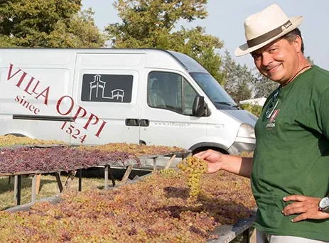 SUPERIOR Italian quality Villa Oppi Cabernet Sauvignon for export