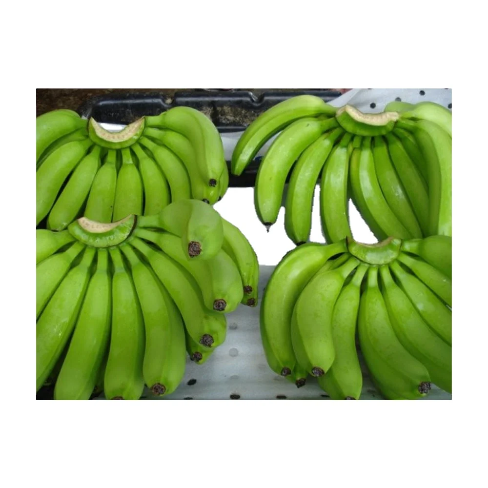 Высококачественный экспорт бананового перца высокого качества