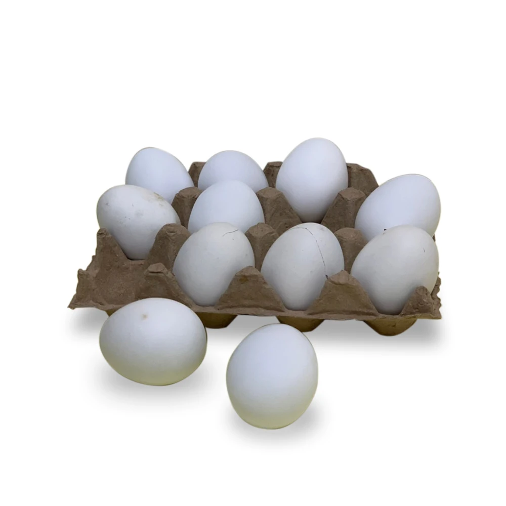 Волшебные реквизиты волшебные искусственные яйца игрушки для волшебника