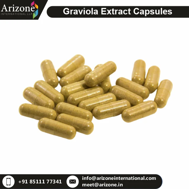 Ginkgo Extract Capsules.png