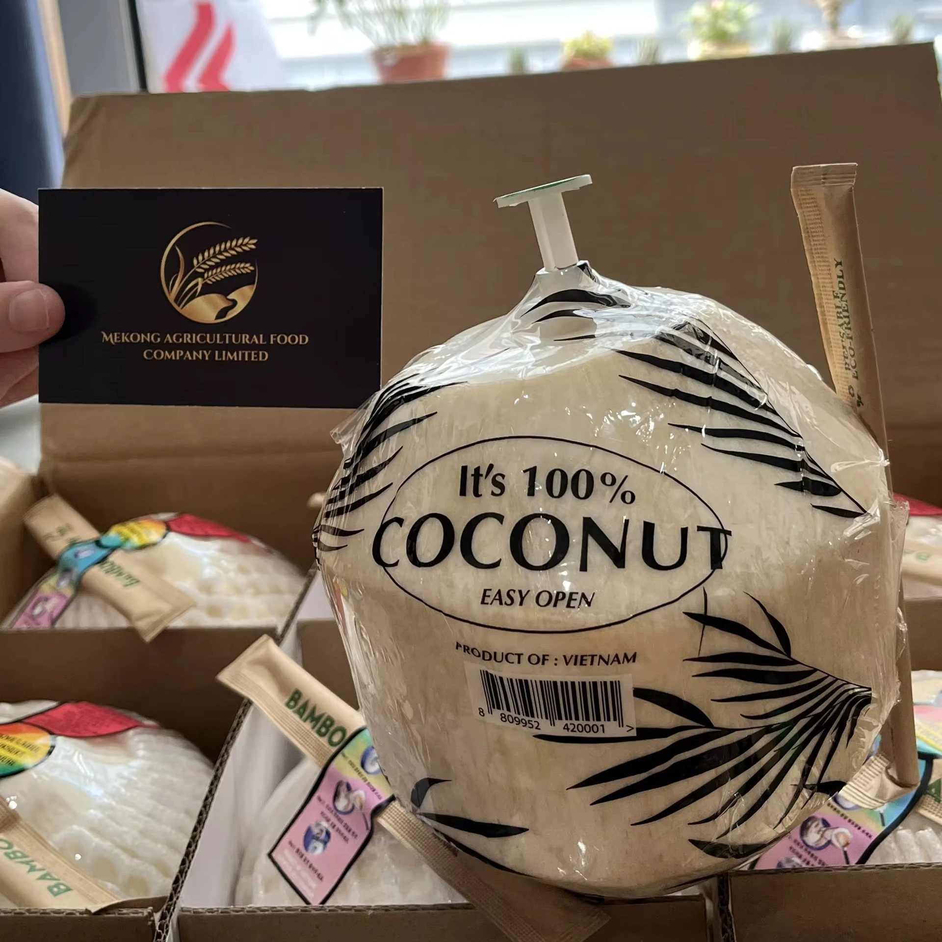 DELICIOUS GREEN YOUNG COCONUT TOP QUALITY BEST PRICE FOR WHOLESALE  - WHATSAPP: +84 358211696