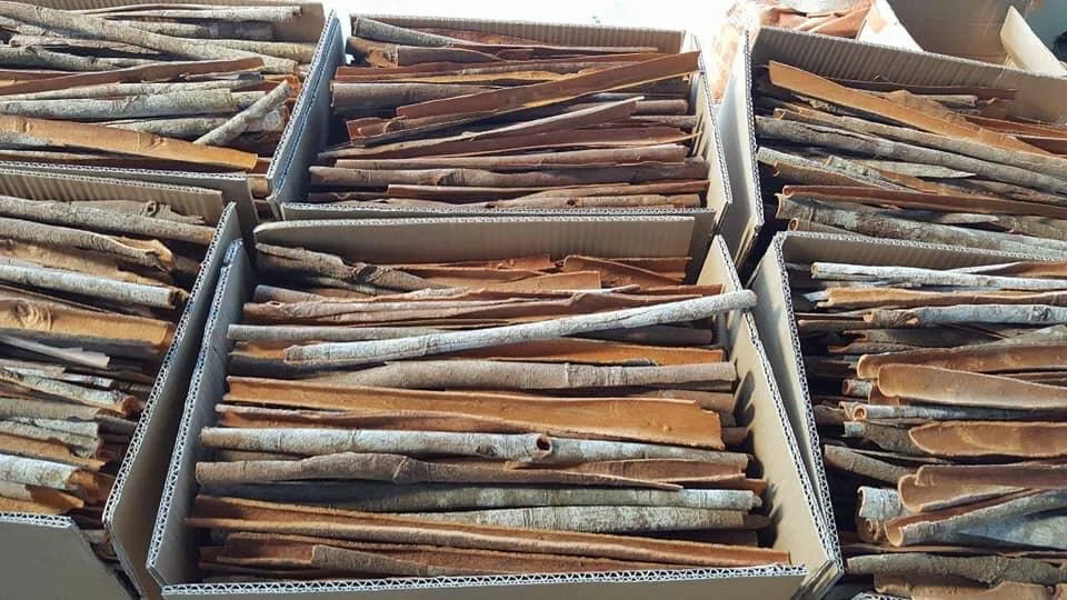 CINNAMON/ CASSIA AND STAR ANISE HIGH QUALITY FROM VIETNAM