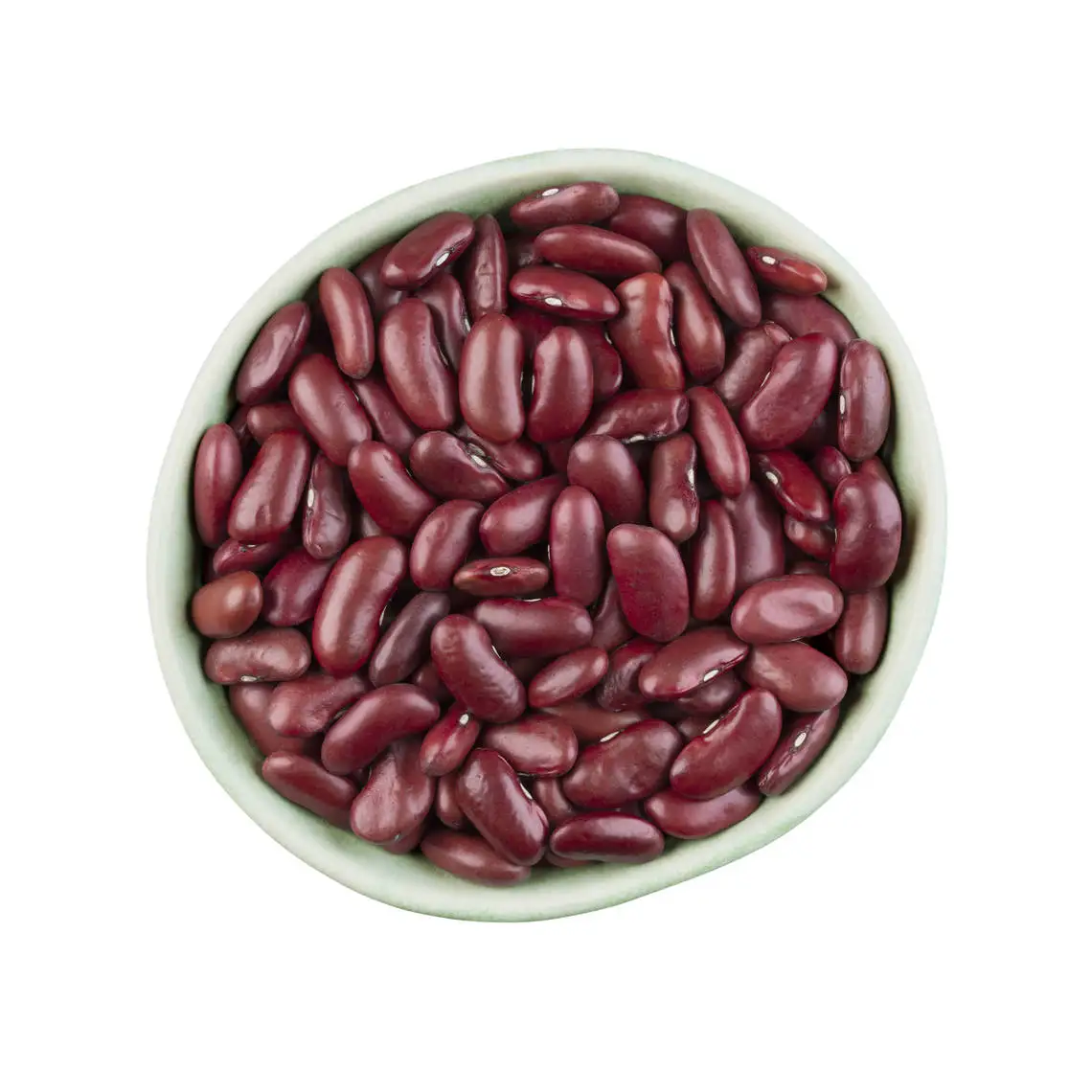Bulk supply of premium quality Red beans pure organic healthy food grade Red beans for sale now