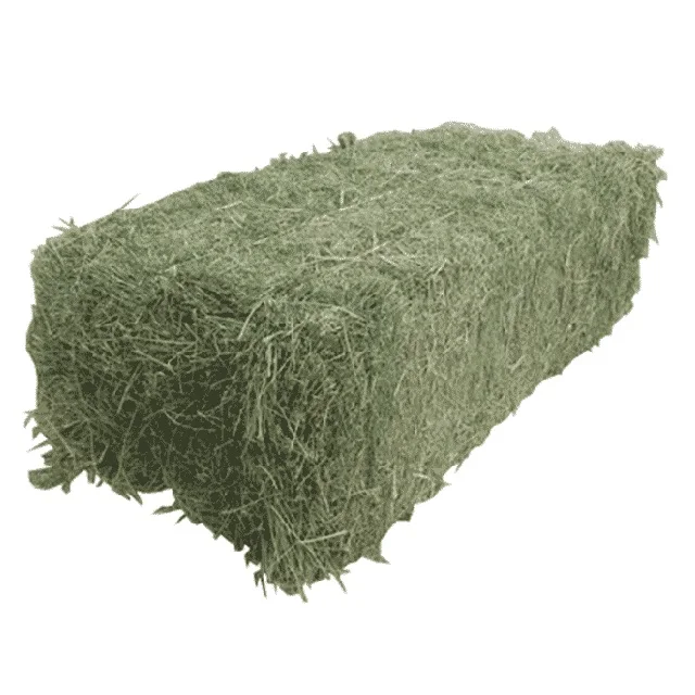 Alfalfa Hay Pellets For Animal Feed with Best Quality For Sale Bulk UK High Quality Pakistani Lush Green Moisture Controlled