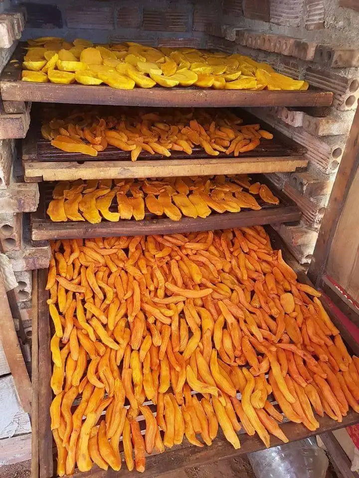 Best Quality Dried Soft Sweet Potato - Dehydrated Honey Yellow Sweet Potato Cubes From Vietnam Factory