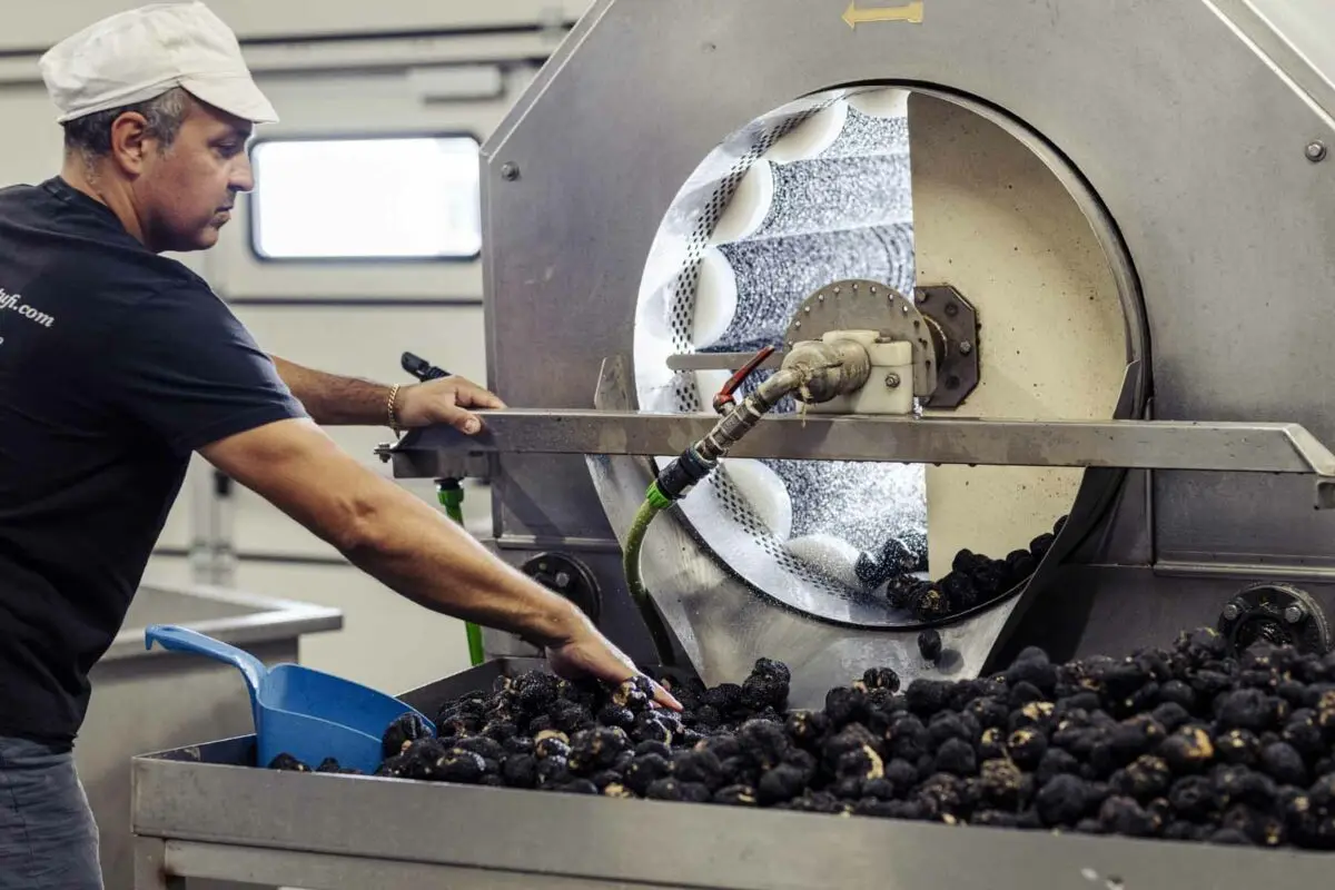 50g Summer Truffle Sauce 5% Tuber Aestivum Vitt Artisanal Italian Quality Made in Italy Vegan Vegetarian Halal Kosher