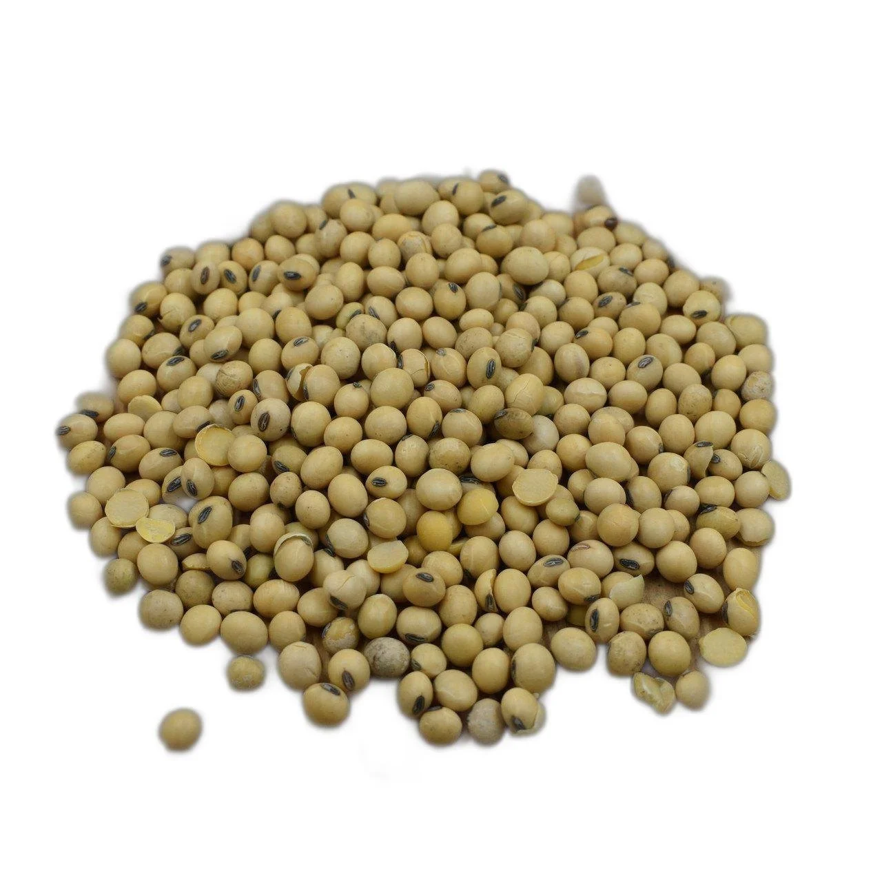 High Quality Soybean / Soya Bean, Soybean Seeds for sale Sprouting Yellow Soy Bean NON GMO Package