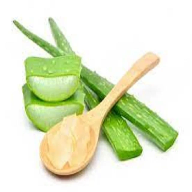 Hot selling Pure Plant Healthy Aloe Vera Extract Herbal Extract Best Quality Aloe Vera Powder at Best Price from India