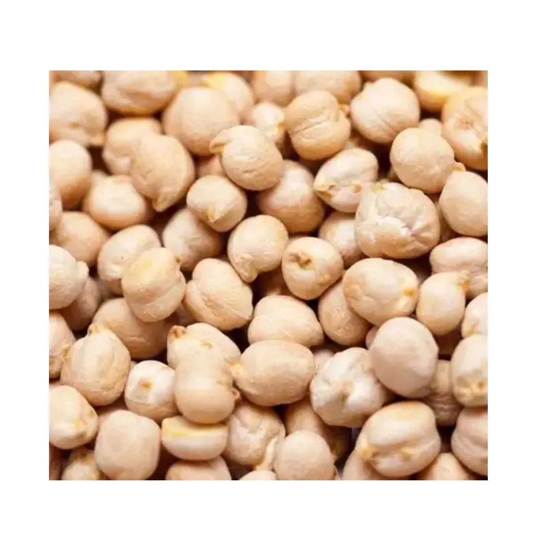 Best Manufacturing Roasted Chick Peas Deci Bulk Ready-to-Eat Boiled Wasabi Chickpeas Kosher Certified Wholesales Bulk Dried