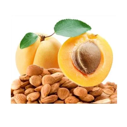 Высокое качество, низкая оптовая цена, необработанные органические абрикосовые орехи, для продажи