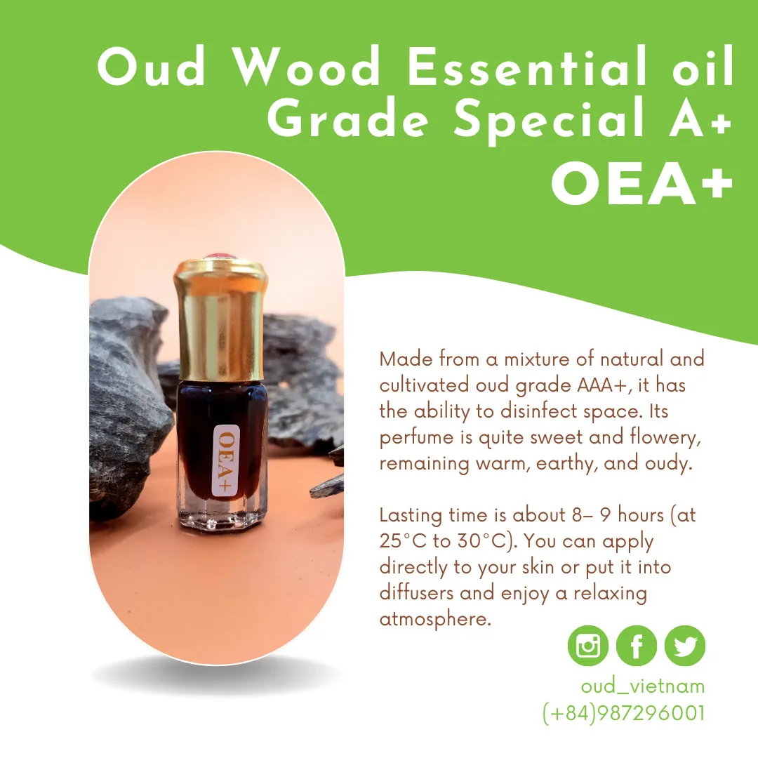 The Best Selling Luxurious Oud Oil 100% natural Pure material from Vietnam Oud Tree Strong Heavy Fragrances Smell