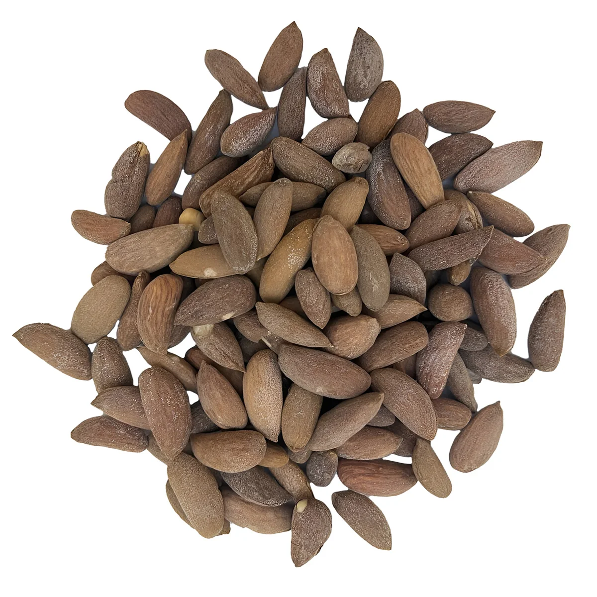 Premium quality almonds all natural product of Uzbekistan wholesale prices almond in bulk