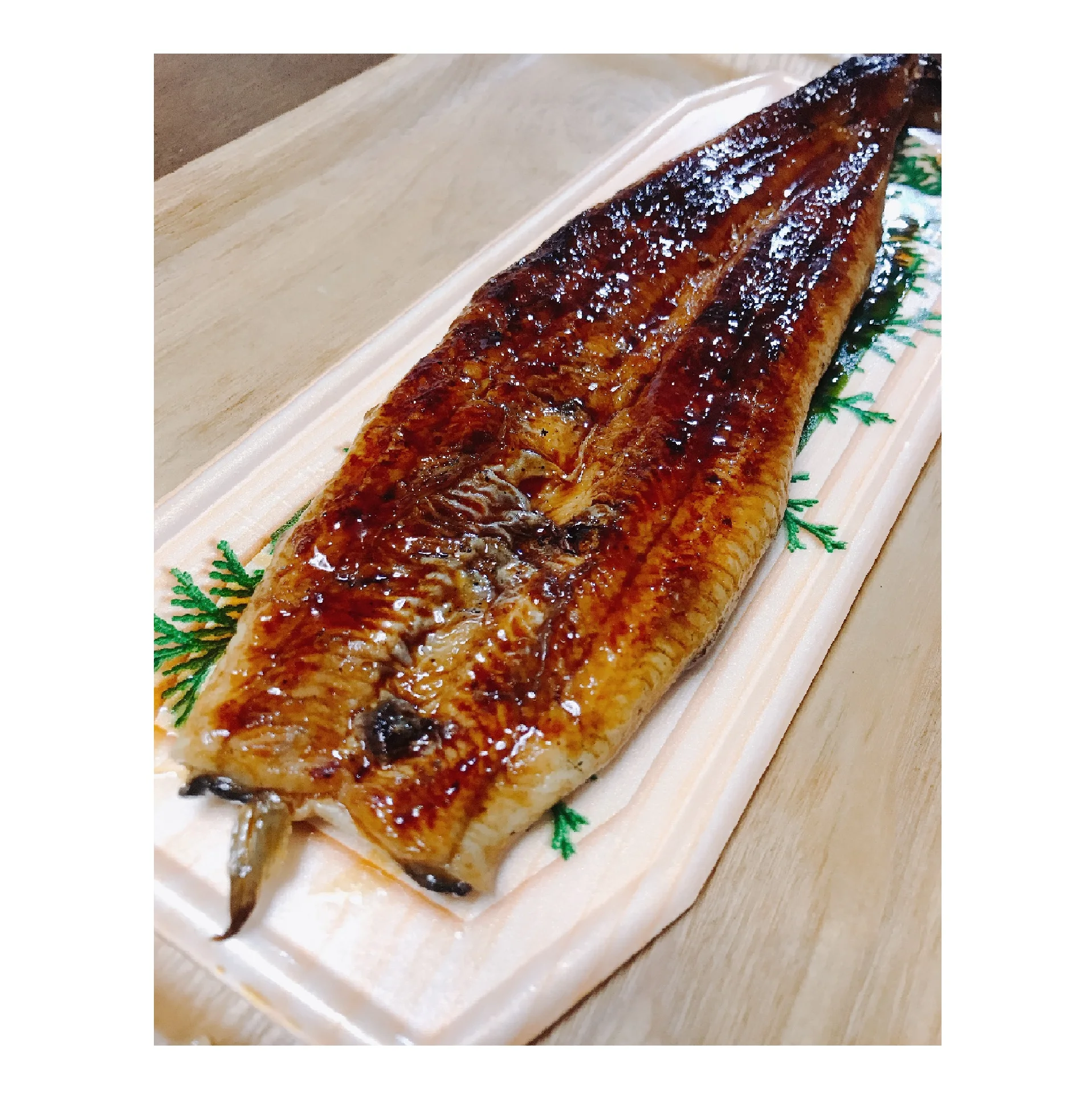 Wholesale Bulk Fresh Food Sea Japanese Frozen Conger Eels Fish