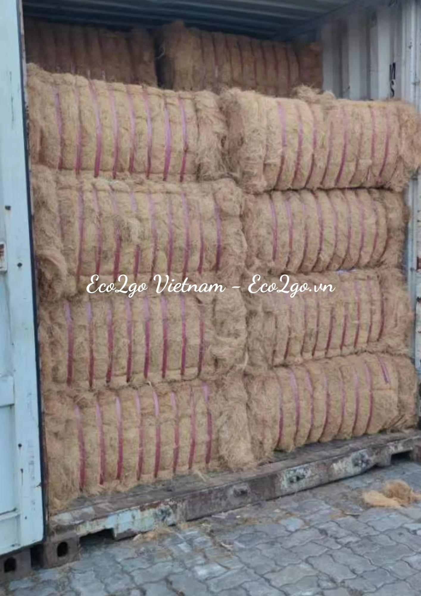 Eco2go Vietnam (2).png