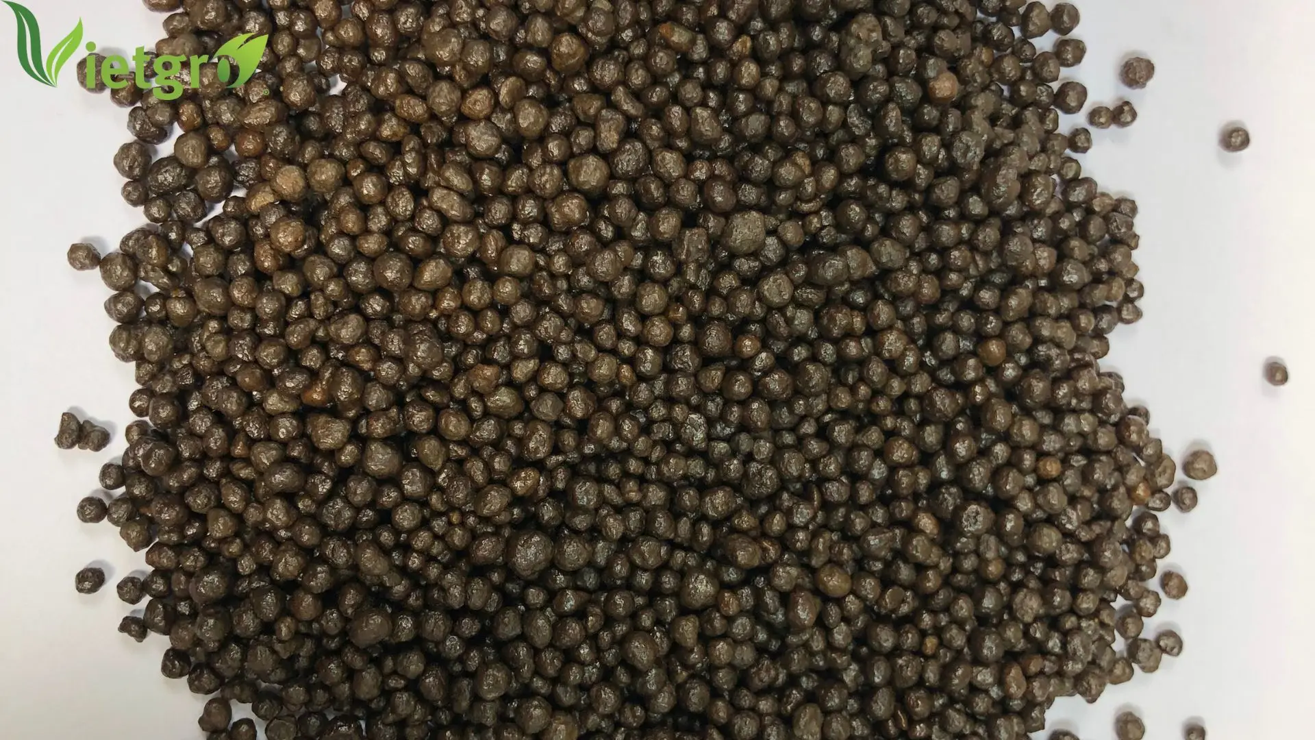 Wholesale Diammonium Phosphate DAP 18-46 fertilizer from Vietnamese Manufacturer - Brown Granular